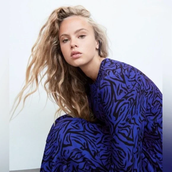 NWT Zara Animal Print Dress - Size XS - Picture 1 of 8